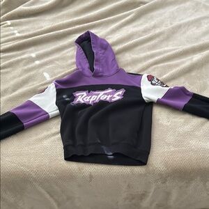 Kids Raptors Purple and Black Hoodie